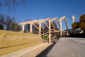 ���� ������� ����