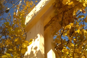 ������� ����