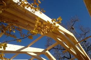 ���� ������� ����