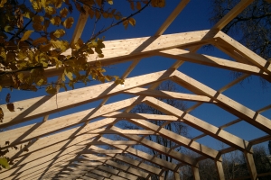 ���� ������� ����