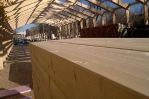 ���� ������� ����