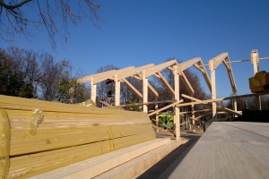 ���� ������� ����