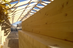 ���� ������� ����