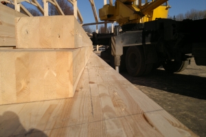 ���� ������� ����