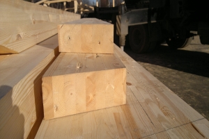 ���� ������� ����