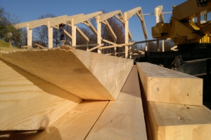 ������� ����