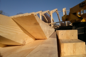 ���� ������� ����