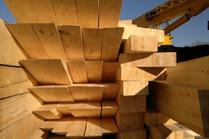 ���� ������� ����