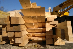 ���� ������� ����