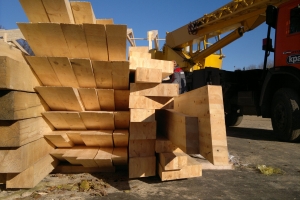 ���� ������� ����