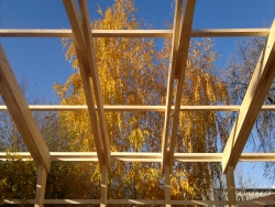 ������� ���� ���������������