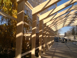 ������� ���� ��������