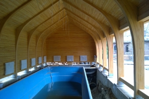 ������������ ���� �����