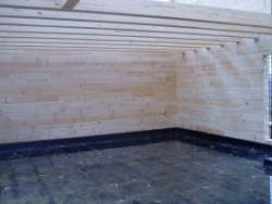 ������������ ���� ������������� 