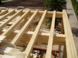 ������� ���� ����